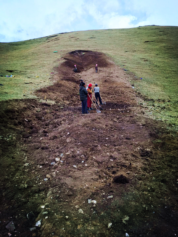 興海銅鑫綠色礦山植被恢復(fù)工作穩(wěn)步推進