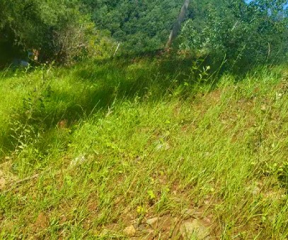 柳關(guān)欒盧鉛鋅礦|治理排土“瘡疤”，繪就綠色畫卷